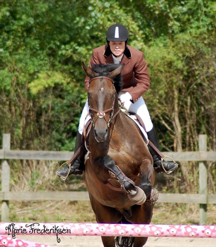 Herlev rideskole, Hjor klubstævne Spring billede 76