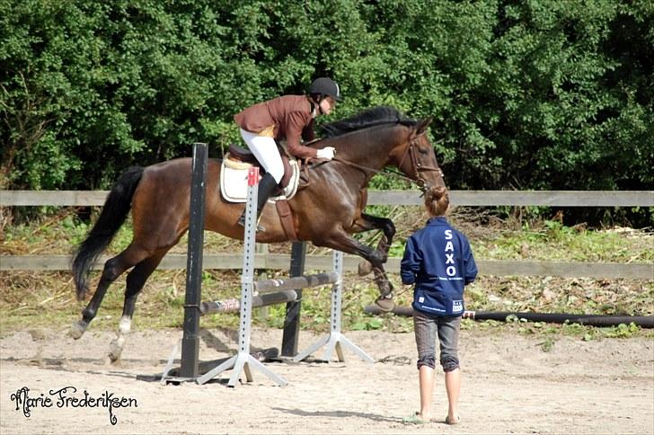 Herlev rideskole, Hjor klubstævne Spring billede 77