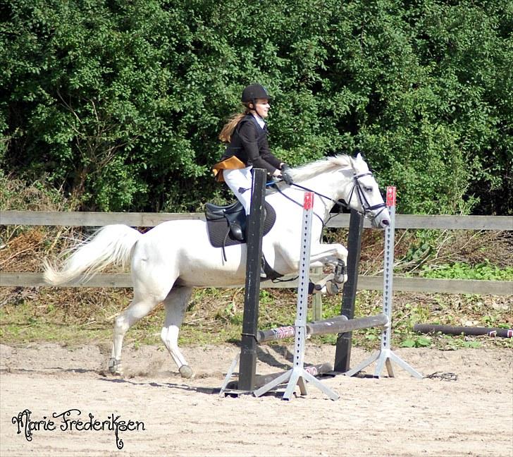 Herlev rideskole, Hjor klubstævne Spring billede 79