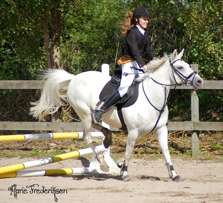 Herlev rideskole, Hjor klubstævne Spring billede 80