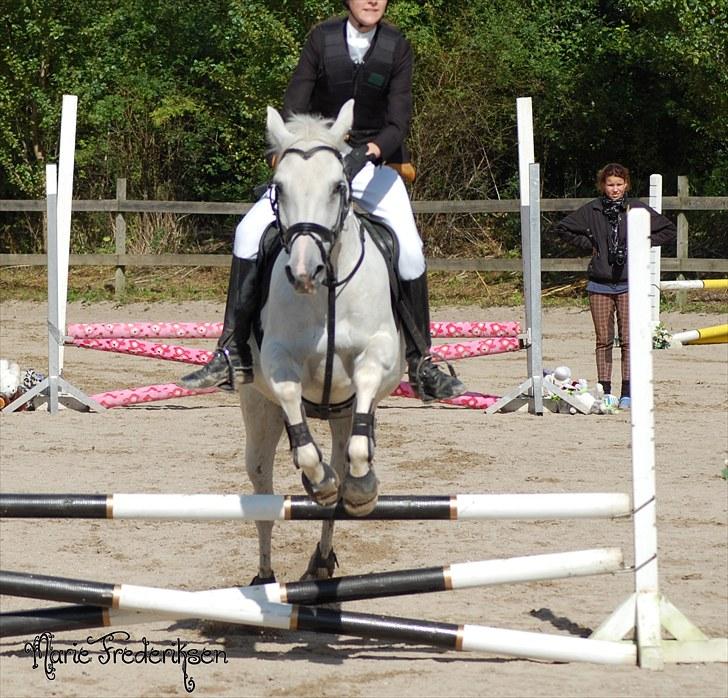 Herlev rideskole, Hjor klubstævne Spring billede 81