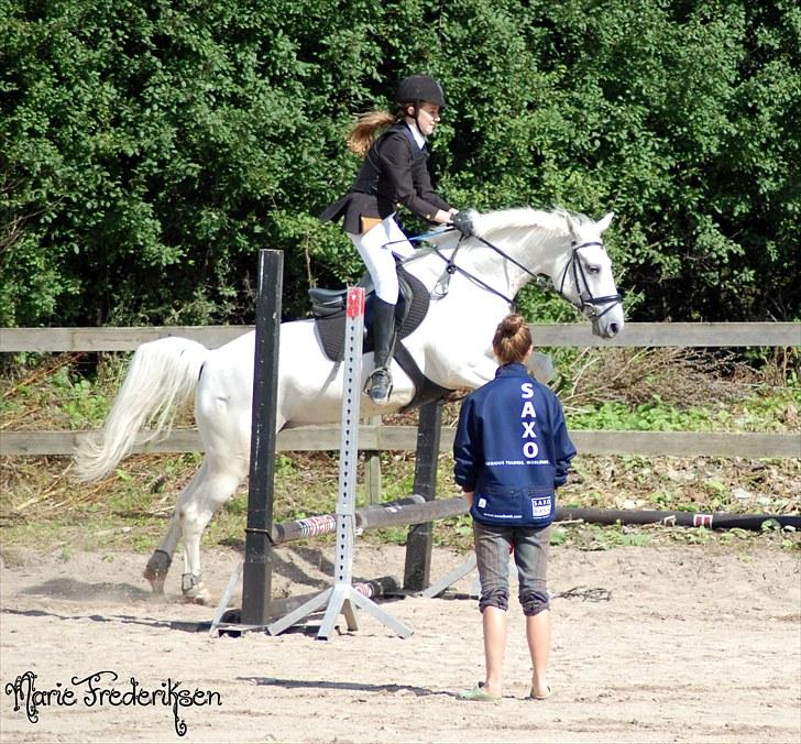 Herlev rideskole, Hjor klubstævne Spring billede 83