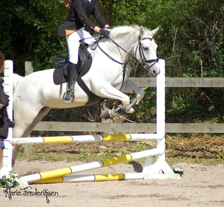 Herlev rideskole, Hjor klubstævne Spring billede 84