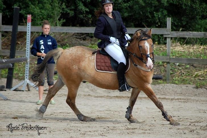 Herlev rideskole, Hjor klubstævne Spring billede 85