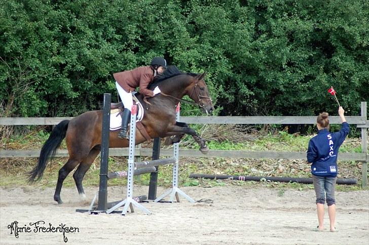 Herlev rideskole, Hjor klubstævne Spring billede 87