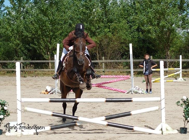 Herlev rideskole, Hjor klubstævne Spring billede 91