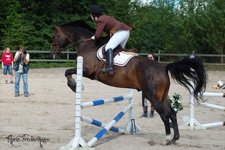 Herlev rideskole, Hjor klubstævne Spring billede 93