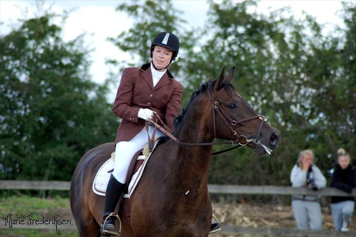 Herlev rideskole, Hjor klubstævne Spring billede 94