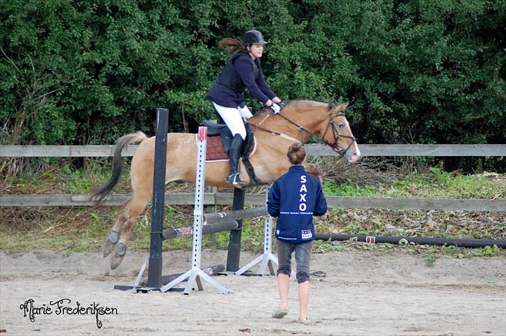 Herlev rideskole, Hjor klubstævne Spring billede 96