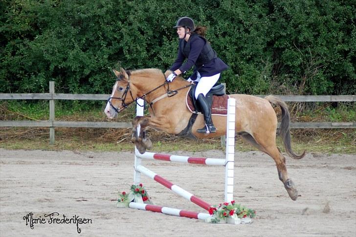 Herlev rideskole, Hjor klubstævne Spring billede 97