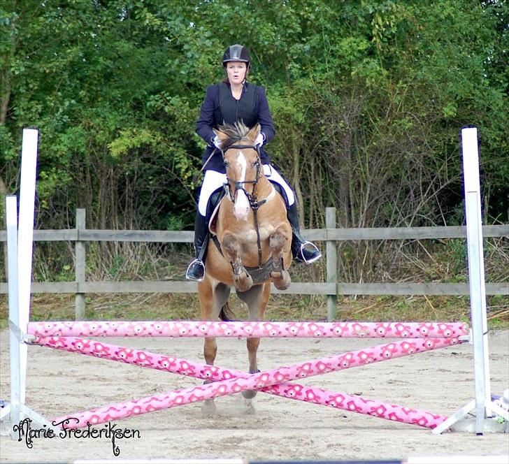 Herlev rideskole, Hjor klubstævne Spring billede 98