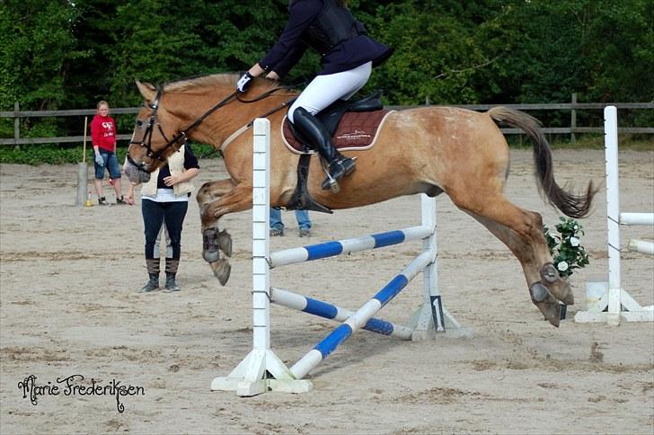 Herlev rideskole, Hjor klubstævne Spring billede 99
