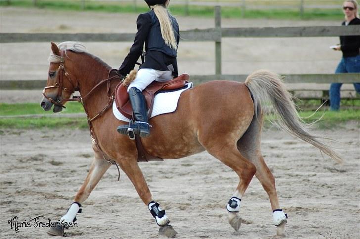 Herlev rideskole, Hjor klubstævne Spring billede 106