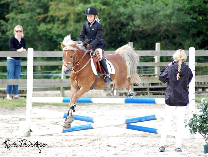 Herlev rideskole, Hjor klubstævne Spring billede 107