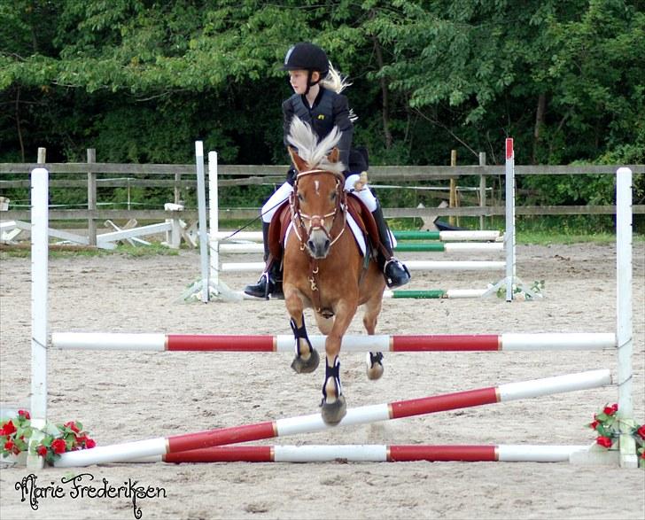 Herlev rideskole, Hjor klubstævne Spring billede 108