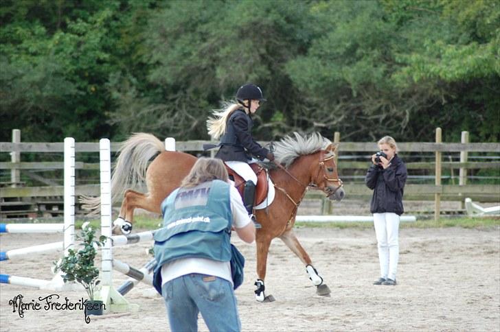 Herlev rideskole, Hjor klubstævne Spring billede 110