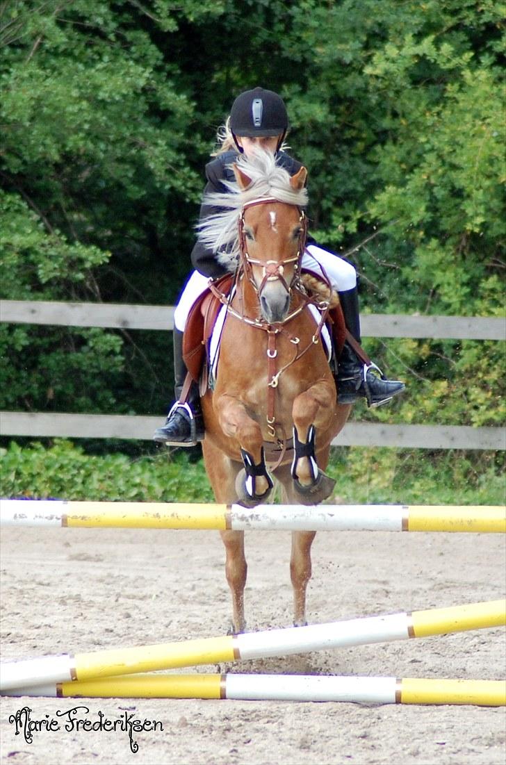 Herlev rideskole, Hjor klubstævne Spring billede 111