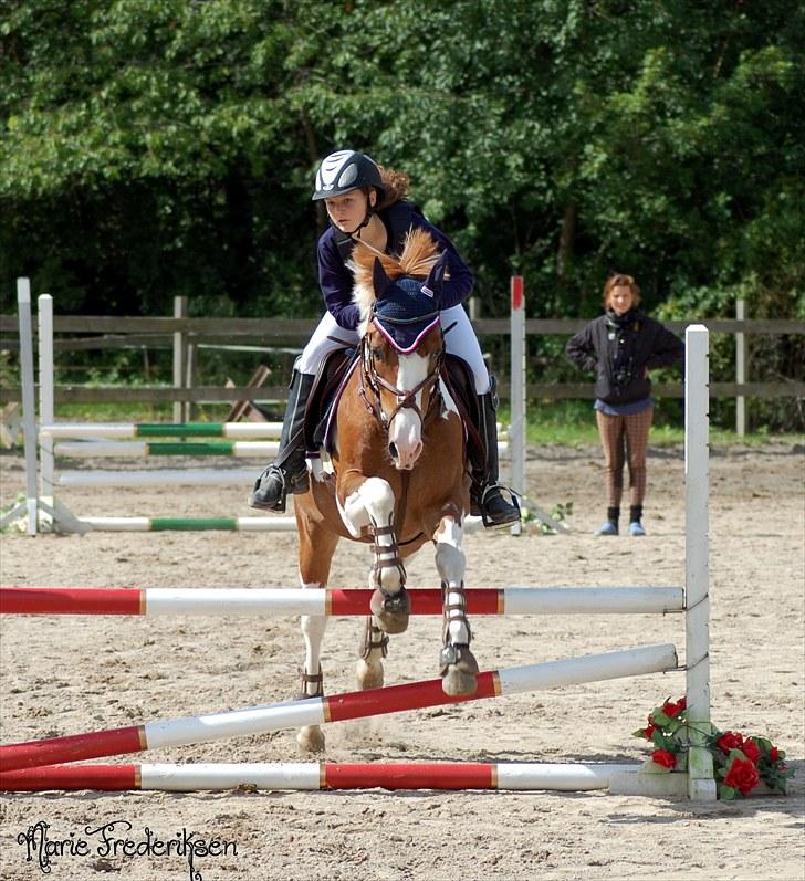 Herlev rideskole, Hjor klubstævne Spring billede 112