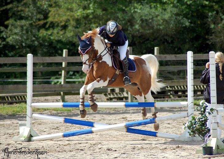 Herlev rideskole, Hjor klubstævne Spring billede 113