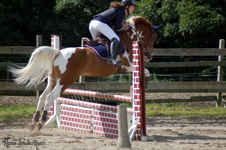 Herlev rideskole, Hjor klubstævne Spring billede 114
