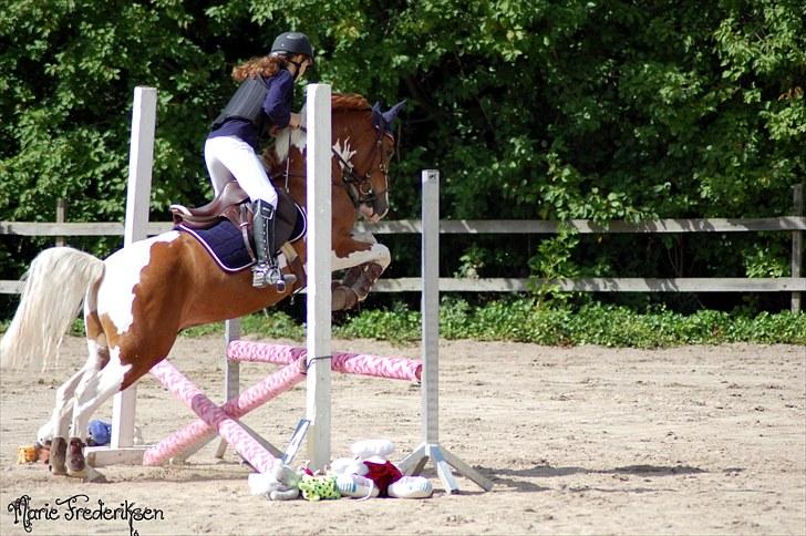 Herlev rideskole, Hjor klubstævne Spring billede 116