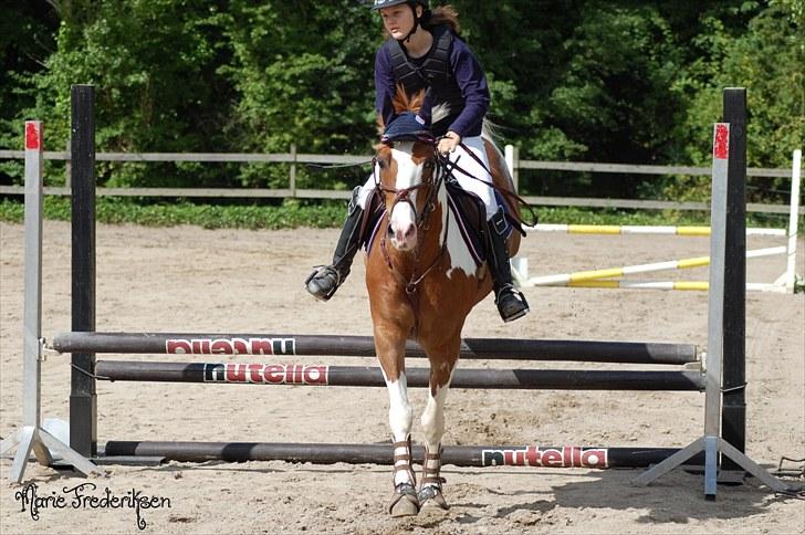 Herlev rideskole, Hjor klubstævne Spring billede 117