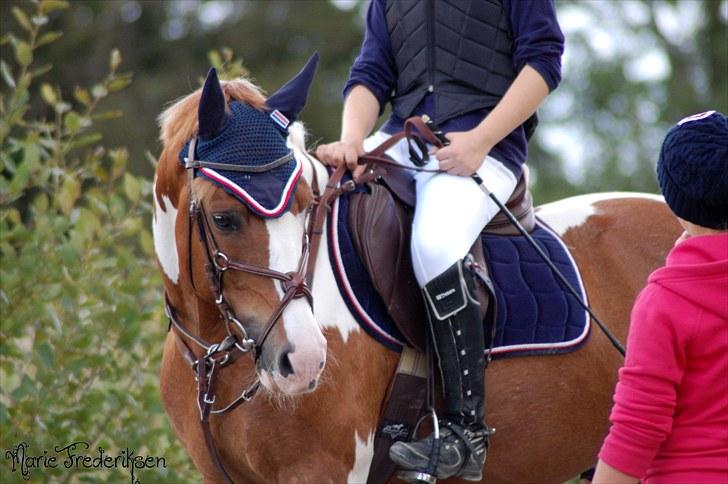 Herlev rideskole, Hjor klubstævne Spring billede 119