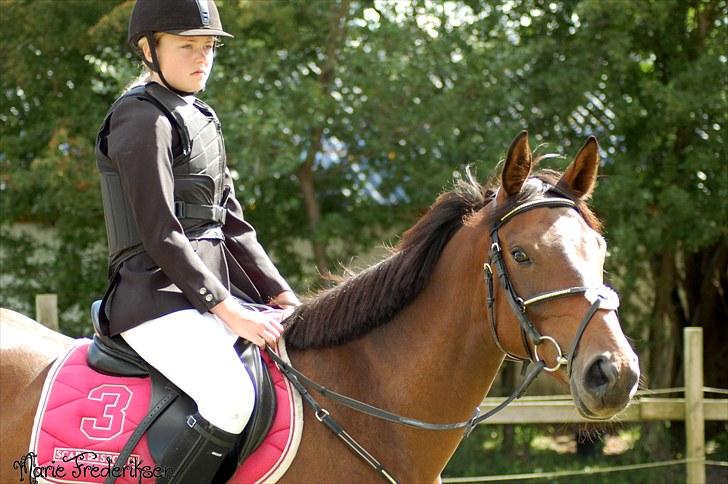 Herlev rideskole, Hjor klubstævne Spring billede 121