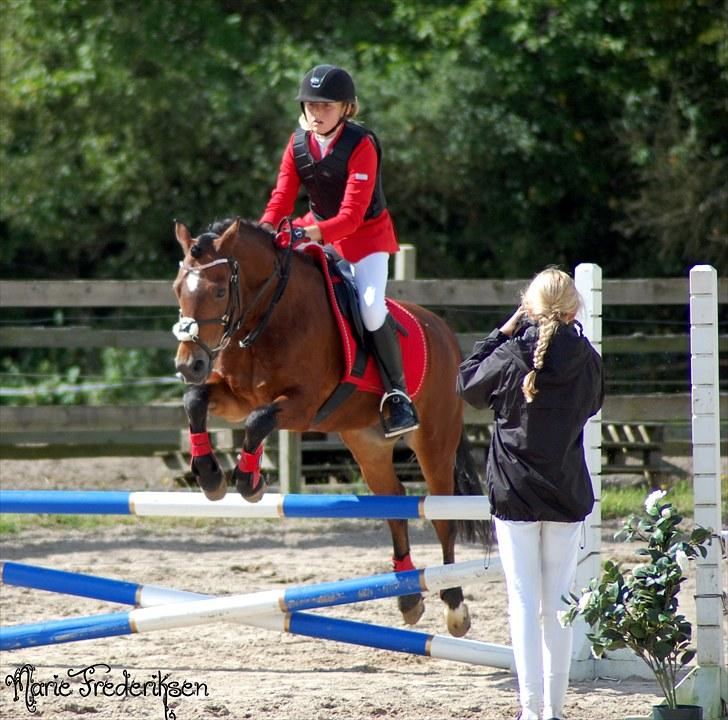 Herlev rideskole, Hjor klubstævne Spring billede 123