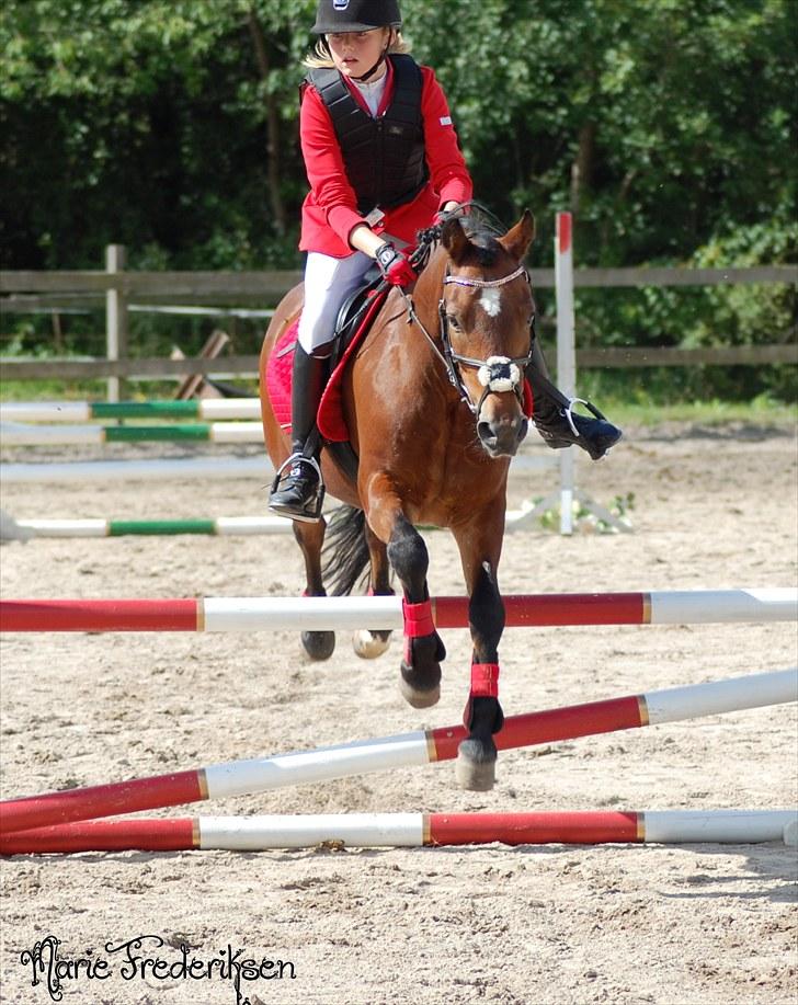 Herlev rideskole, Hjor klubstævne Spring billede 124