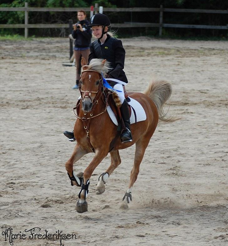 Herlev rideskole, Hjor klubstævne Spring billede 129
