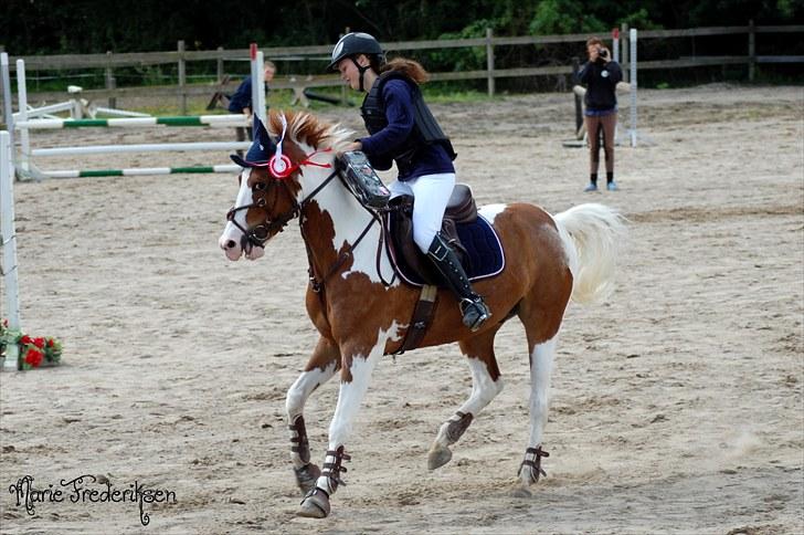 Herlev rideskole, Hjor klubstævne Spring billede 130
