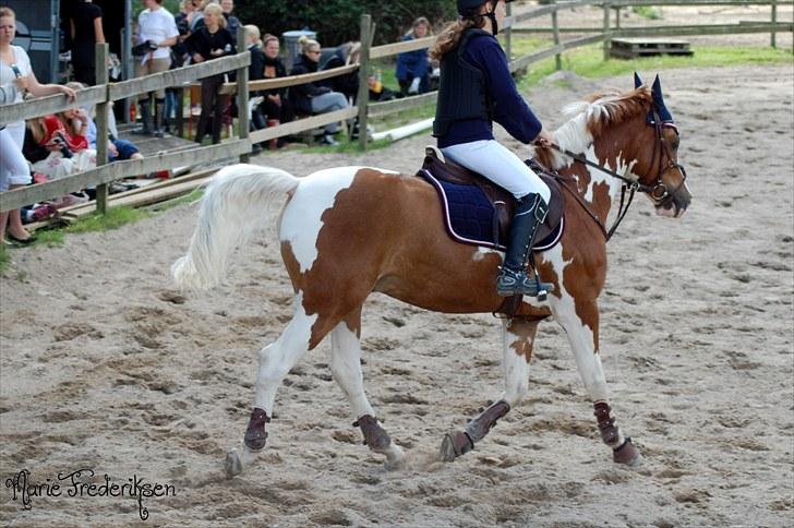 Herlev rideskole, Hjor klubstævne Spring billede 131