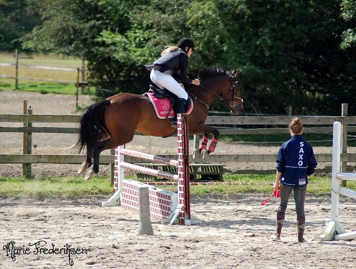 Herlev rideskole, Hjor klubstævne Spring billede 133