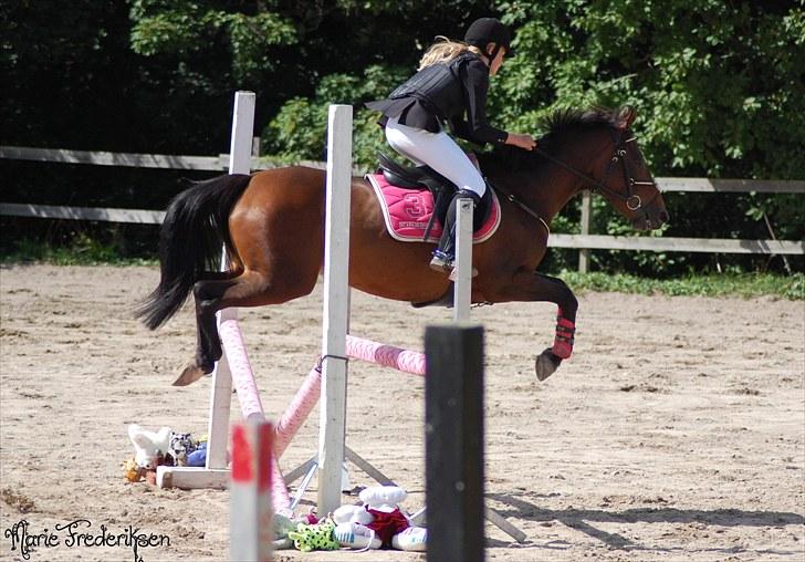 Herlev rideskole, Hjor klubstævne Spring billede 135