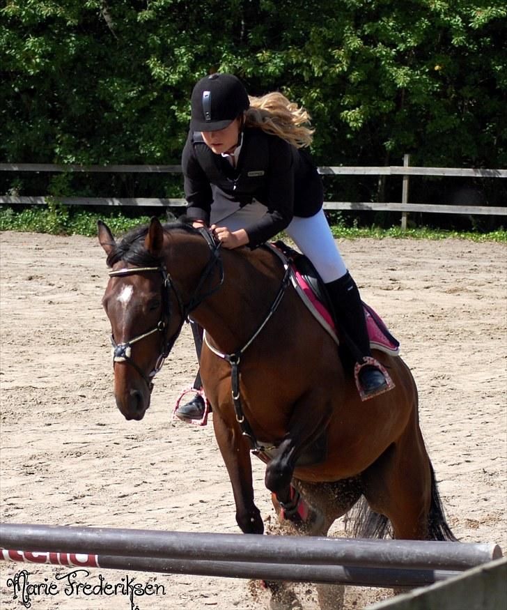 Herlev rideskole, Hjor klubstævne Spring billede 136