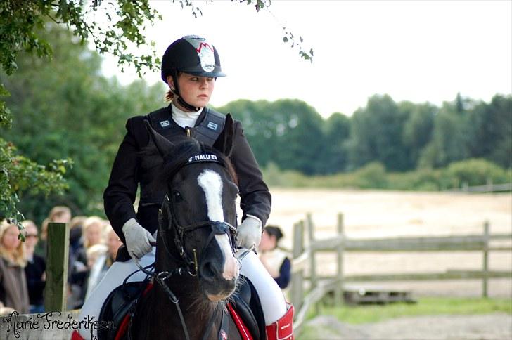 Herlev rideskole, Hjor klubstævne Spring billede 138