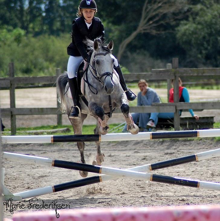 Herlev rideskole, Hjor klubstævne Spring billede 141