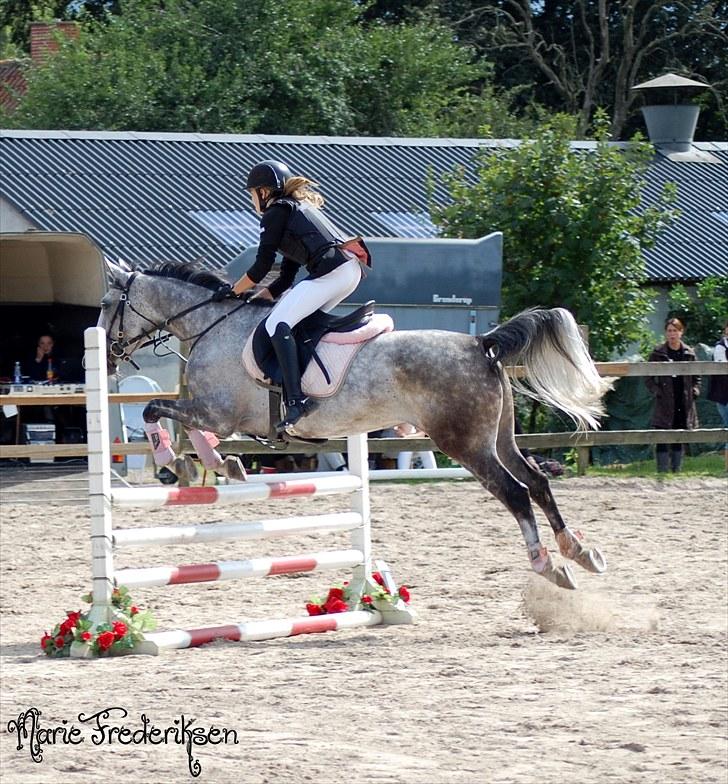Herlev rideskole, Hjor klubstævne Spring billede 142
