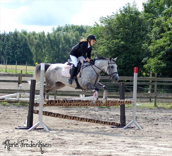 Herlev rideskole, Hjor klubstævne Spring billede 144