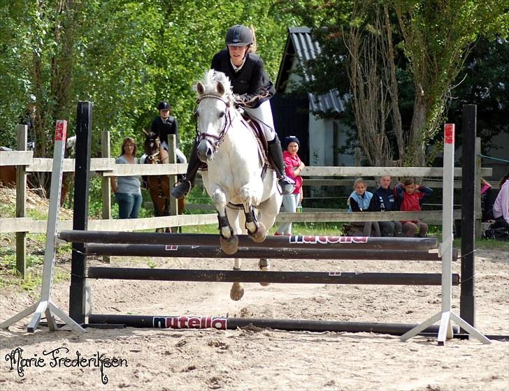 Herlev rideskole, Hjor klubstævne Spring billede 146