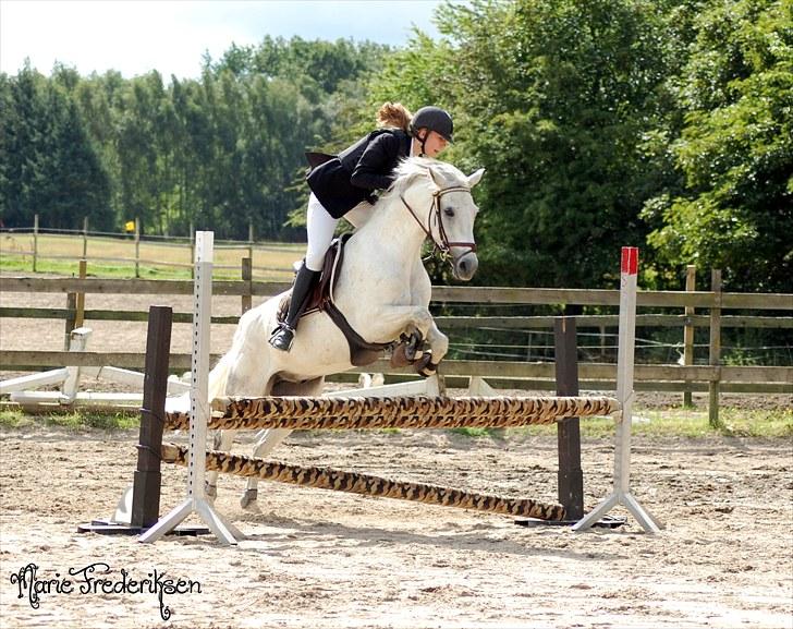 Herlev rideskole, Hjor klubstævne Spring billede 150