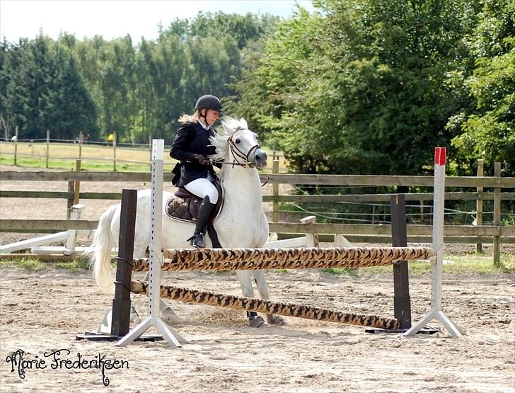 Herlev rideskole, Hjor klubstævne Spring billede 151