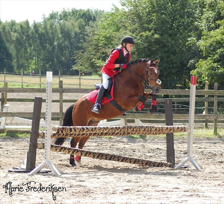 Herlev rideskole, Hjor klubstævne Spring billede 156