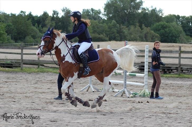 Herlev rideskole, Hjor klubstævne Spring billede 157