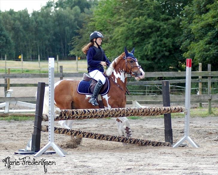 Herlev rideskole, Hjor klubstævne Spring billede 158