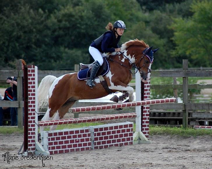 Herlev rideskole, Hjor klubstævne Spring billede 1