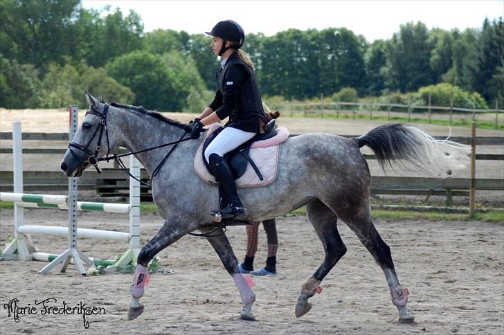 Herlev rideskole, Hjor klubstævne Spring billede 161