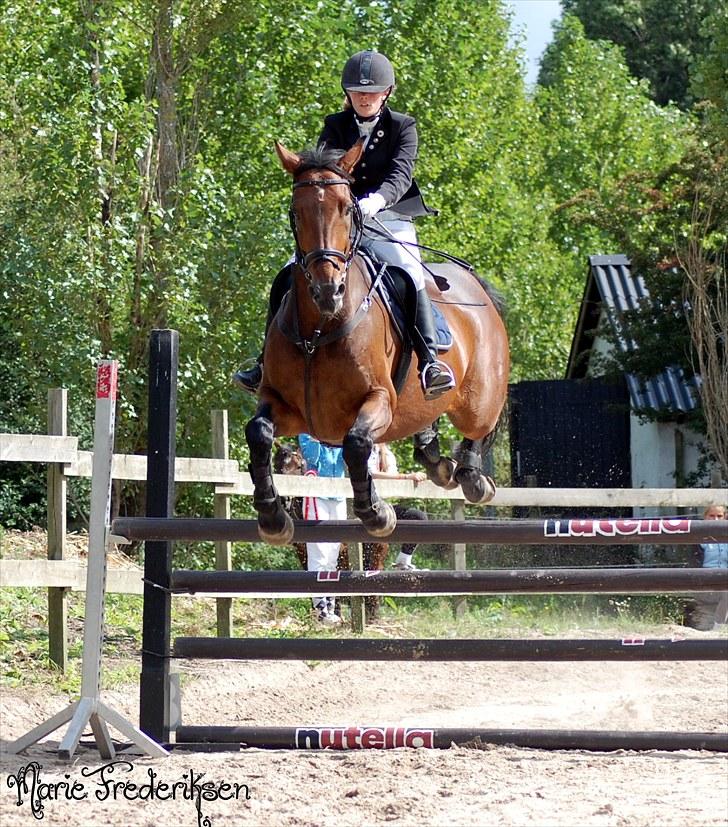 Herlev rideskole, Hjor klubstævne Spring billede 162