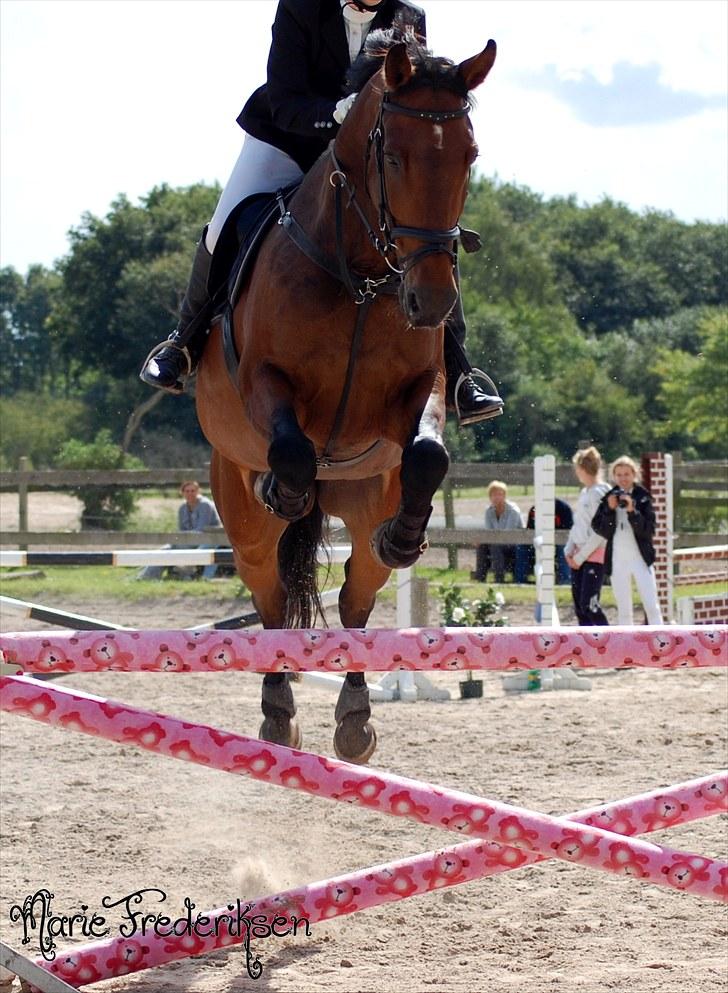 Herlev rideskole, Hjor klubstævne Spring billede 163